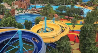 Liburan Seru di Ocean Park BSD City Tangerang: Semua yang Perlu Kamu Tahu