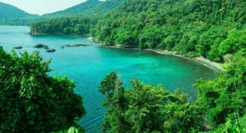 Menelusuri Gua Sarang: Keindahan Alam yang Tersembunyi di Ujung Nusantara