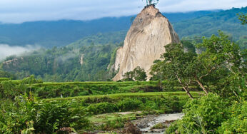 Eksplorasi Tabiang Takuruang Nagari Sianok: Harga Tiket, Jam Buka, dan Lokasi yang Wajib Diketahui