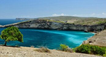 Eksotisme Tanjung Ringgit: Surga Tersembunyi di Lombok Timur