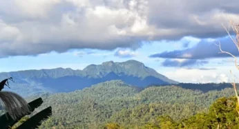 Menjelajahi Gunung Bondang: Sensasi Muncak dan Keindahan Air Terjun