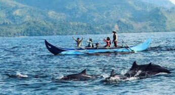 Teluk Kiluan: Surga Tersembunyi dengan Lumba-Lumba, Tiket Murah, dan Penginapan Nyaman!