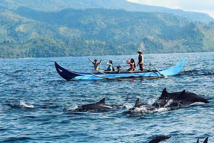 Teluk Kiluan: Surga Tersembunyi