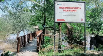 Eksotisme Pulau Semut, Permata Wisata Tersembunyi di Pekanbaru