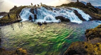 Pantai Wediombo Yogyakarta: Semua yang Perlu Lo Tahu tentang Lokasi, Harga Tiket, dan Daya Tariknya!