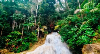 Menyusuri Keindahan Taman Sungai Mudal: Wisata Air di Kaki Gunung Kelir