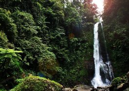 Air Terjun Gitgit