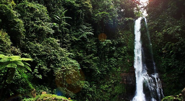 Air Terjun Gitgit: Keindahan Alam dan Sejarahnya yang Menakjubkan