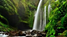 Air Terjun Tiu Kelep