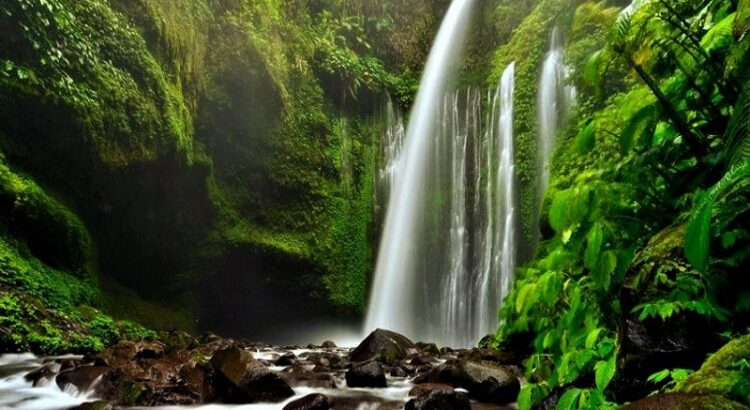 Air Terjun Tiu Kelep