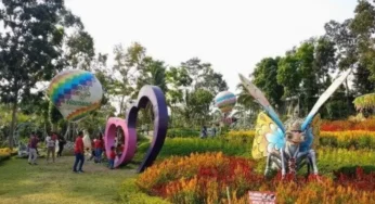 Menelusuri Keindahan Alamanda Flower Garden, Taman Bunga yang Memikat di Jogja