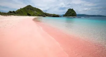 Pesona Menakjubkan ‘Pink Beach’ Pantai Merah di Pulau Komodo