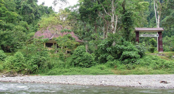 Taman Nasional Gunung Leuser: Surga Flora dan Fauna Langka