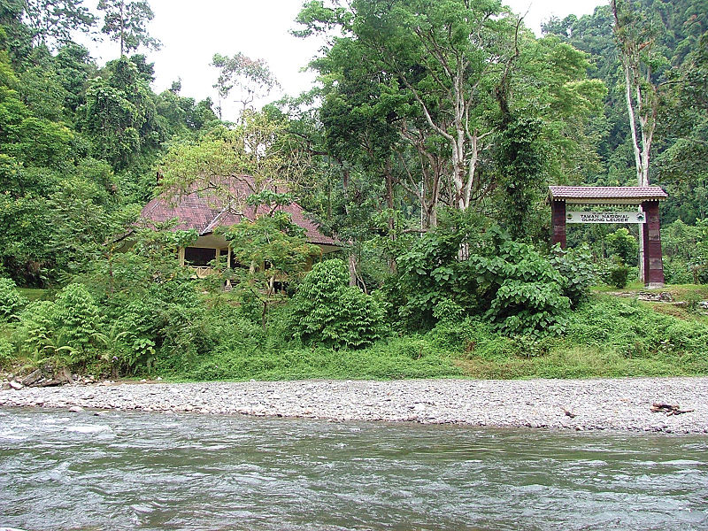 Taman Nasional Gunung Leuser