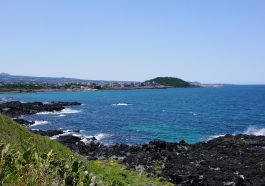 6 Rekomendasi Wisata Alam Jeju