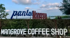 Pantai Mangrove Medan