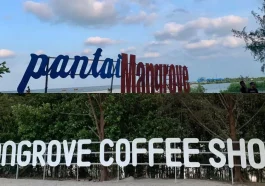 Pantai Mangrove Medan
