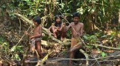 Taman Nasional Bukit Dua Belas