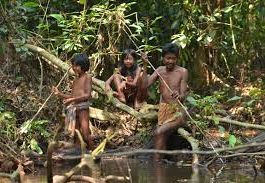 Taman Nasional Bukit Dua Belas