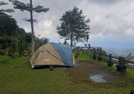 Damainya Taman Harmoni