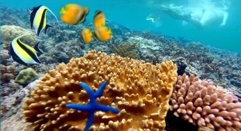 Pantai Amed, Bali: Destinasi Tenang untuk Penyelam dan Snorkeler