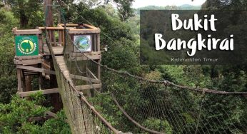 Bukit Bangkirai: Menantang Adrenalin di Atas Kanopi Hutan Tropis