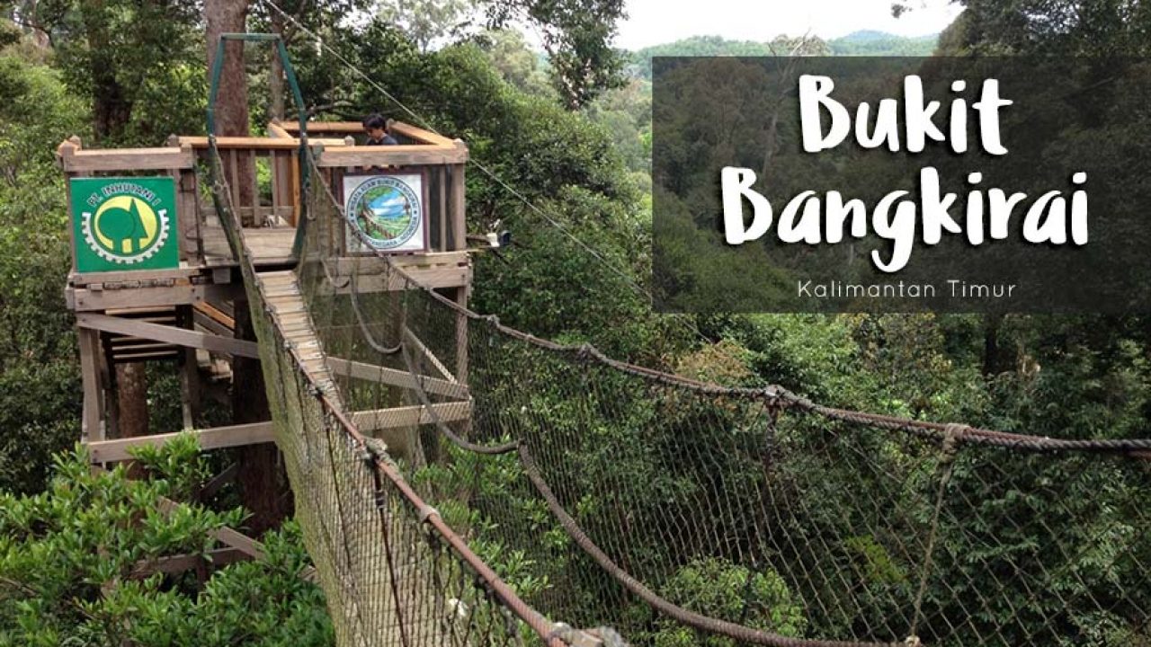 Bukit Bangkirai