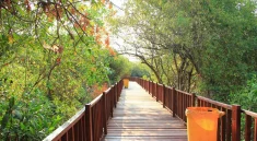 Hutan Mangrove Wonorejo Surabaya