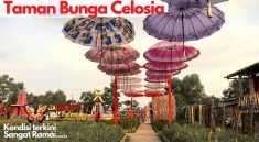 Taman Celosia Spring Hill