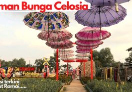 Taman Celosia Spring Hill