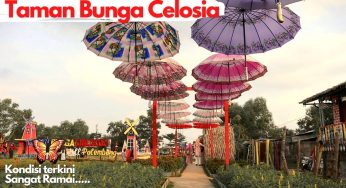 Taman Celosia Spring Hill: Spot Instagramable yang Sedang Naik Daun di Palembang