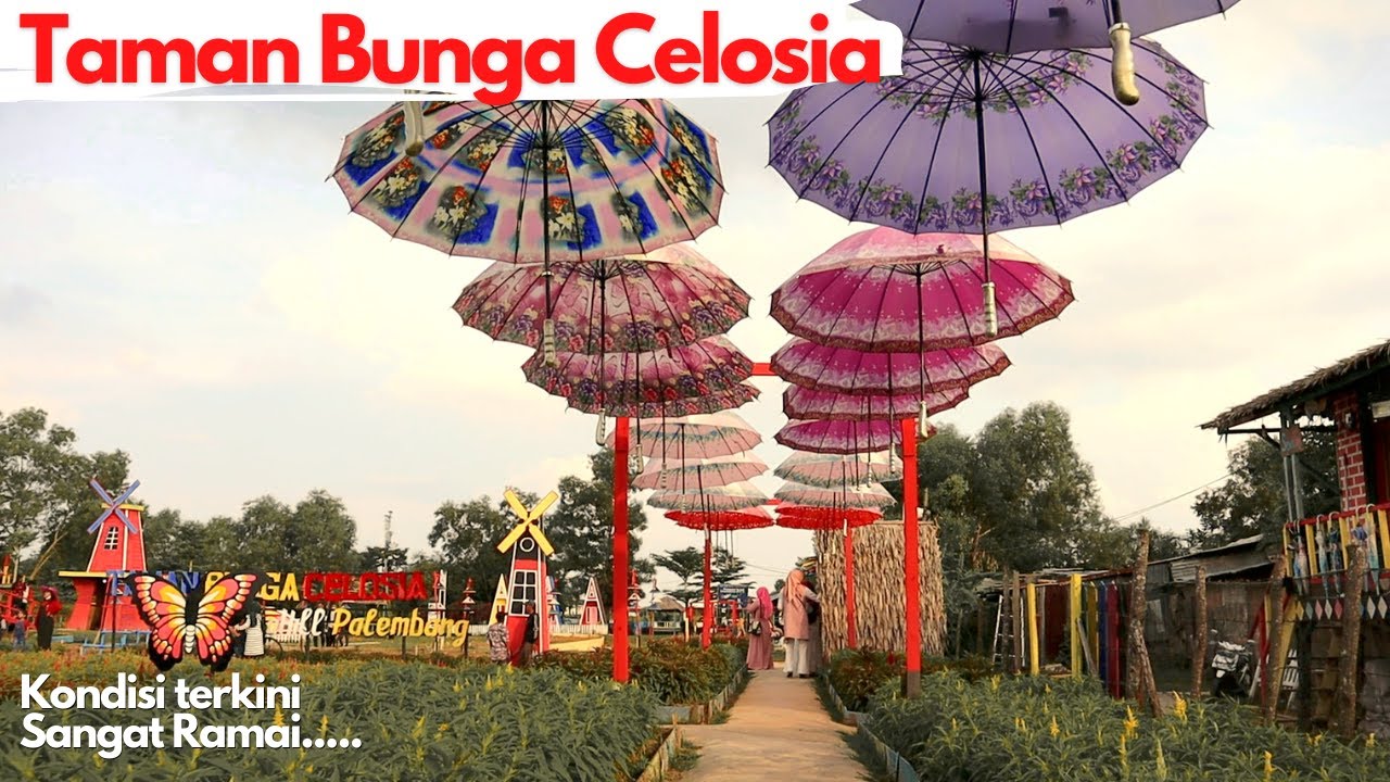 Taman Celosia Spring Hill