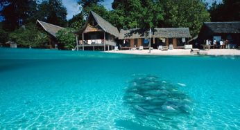 Panduan Lengkap Wisata Kepulauan Togean: Daya Tarik, Aktivitas, dan Rute Perjalanan