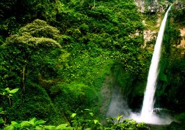 Hidden Gem Banyuwangi