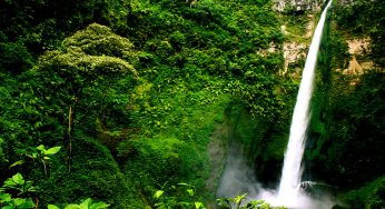 Hidden Gem Banyuwangi: Air Terjun Mistis dengan Kisah Putri dan Naga