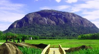 Bukit Kelam Sintang: Monolit Raksasa dengan Pesona Alam Luar Biasa