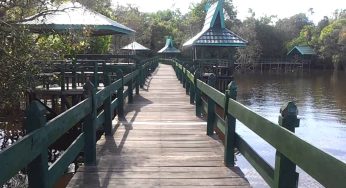 Di Balik Hutan Kalimantan, Tersembunyi Danau Tahai yang Cantiknya Bikin Lupa Pulang!
