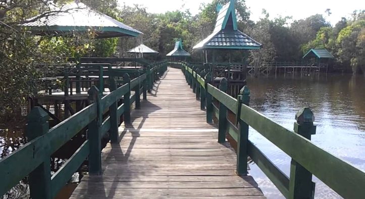 Di Balik Hutan Kalimantan, Tersembunyi Danau Tahai yang Cantiknya Bikin Lupa Pulang!