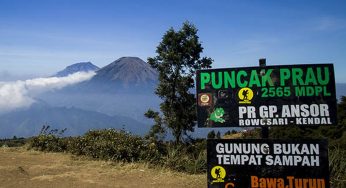 Gunung Prau: Mengungkap Sejarah, Keindahan, dan Rute Pendakiannya