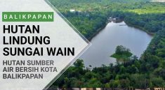 Hutan Sungai Wain