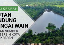 Hutan Sungai Wain
