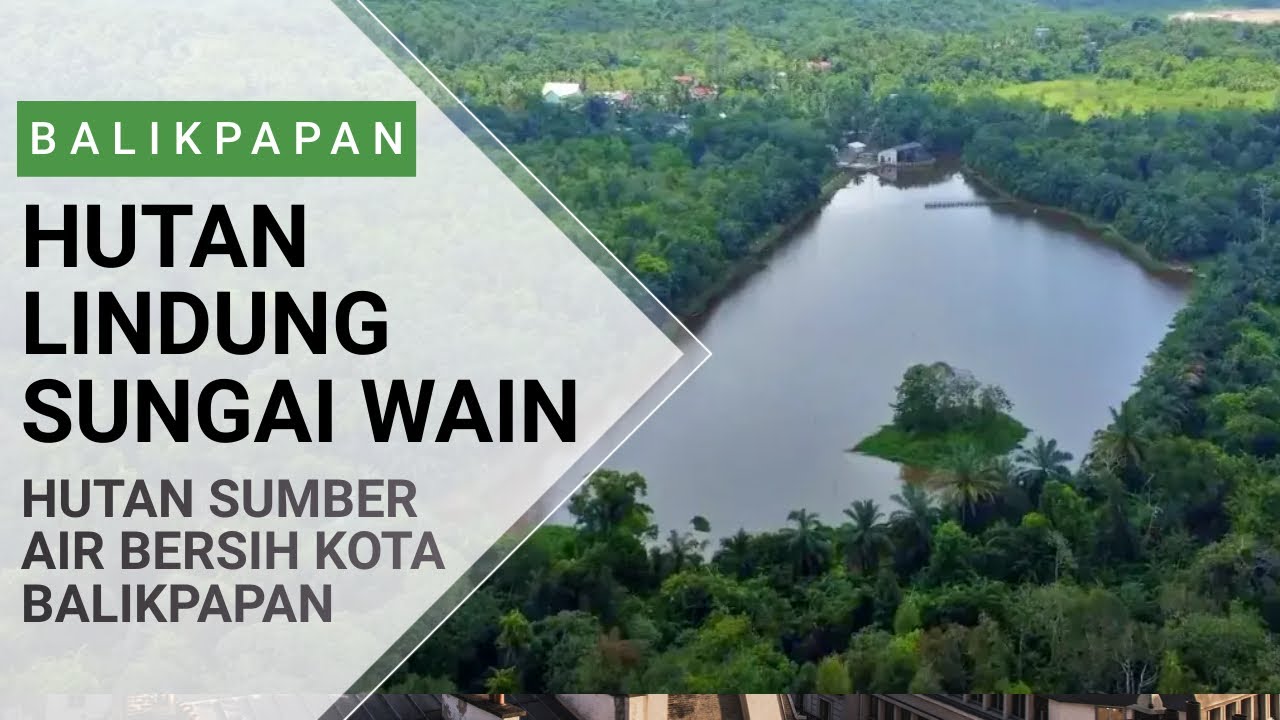 Hutan Sungai Wain