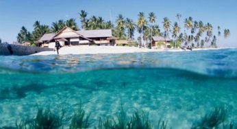 Mau Lihat Surga Dunia? Selami Laut Wakatobi, Pesonanya di Luar Nalar!
