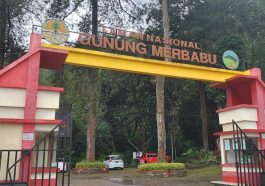 Taman Nasional Merbabu