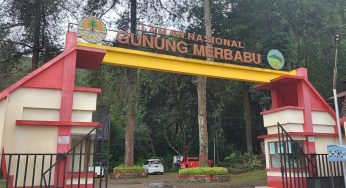 Taman Nasional Merbabu Tawarkan Sensasi Mengintip Dunia Burung Liar dari Dekat!