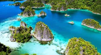 Menjelajah Teluk Cendrawasih: Surga Bawah Laut Papua Bersama Hiu Paus