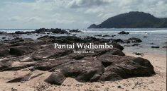Pantai Wediombo