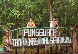 Sebangau Punggu Alas