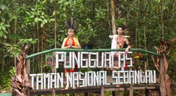 Rahasia Tersembunyi di Kalimantan Tengah Terungkap! Desa Wisata Keruing dan Sebangau Punggu Alas Bikin Takjub