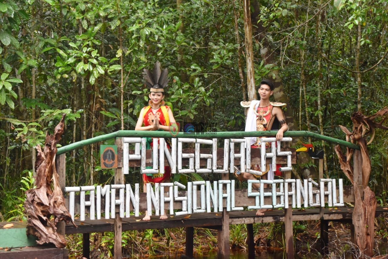 Sebangau Punggu Alas
